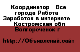 ONLINE Координатор - Все города Работа » Заработок в интернете   . Костромская обл.,Волгореченск г.